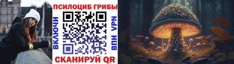 Псилоцибиновые грибы мицелий Бахчисарай