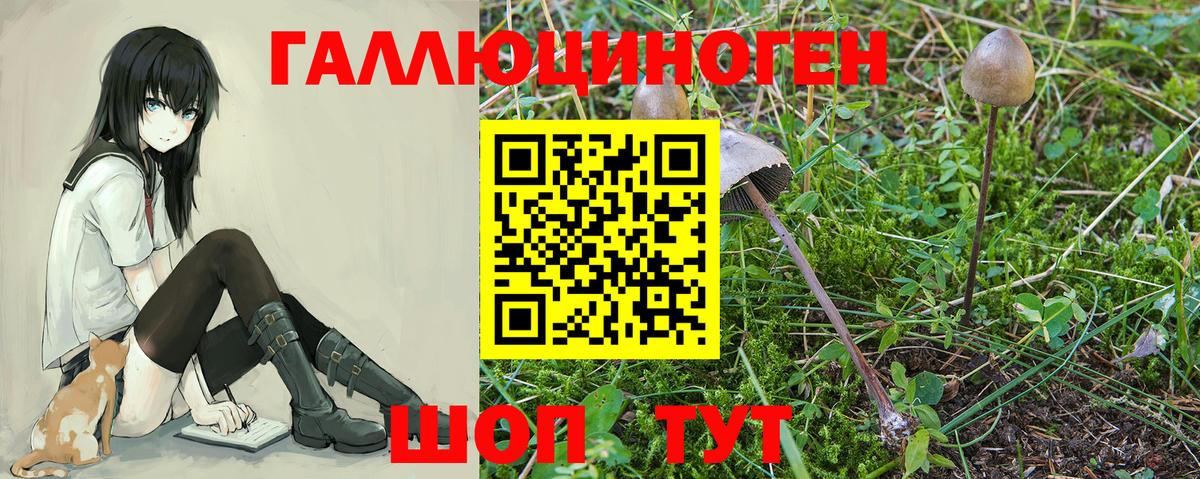Бахчисарай  Галлюциногенные грибы Magic Shrooms  даркнет сайт  Вход с VPN 