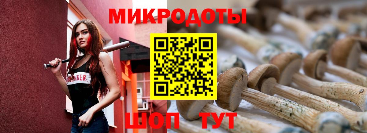Галлюциногенные грибы Cubensis Бахчисарай